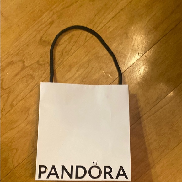 Pandora Handbags - PANDORA GIFT BAG